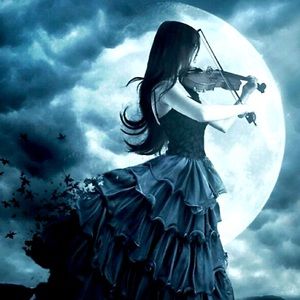 Meet your Posher, Maze